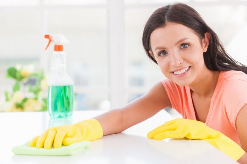 Professional carpet cleaner in Kingston deep cleaning a residential carpet