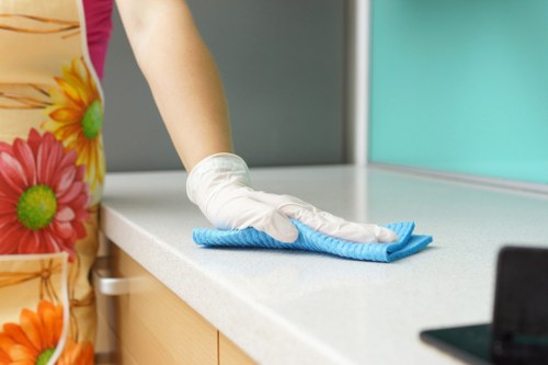Professional oven cleaning service equipment and a kitchen appliance ready for cleaning