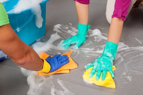 Professional oven cleaning pricing for Kingston households