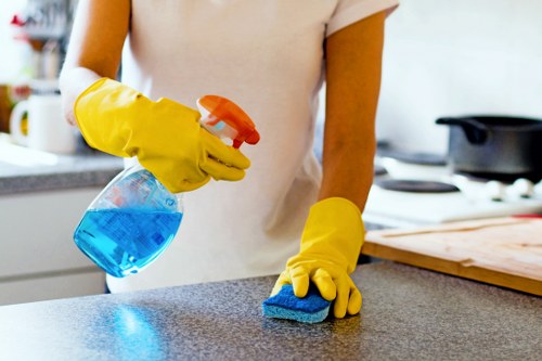 Cleaner using specialist products during an oven cleaning service