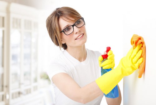 Local Kingston oven cleaners restoring oven performance and shine