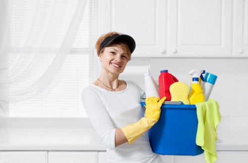 Sustainable oven cleaning service in Kingston with eco-friendly van
