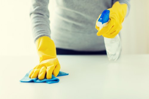 Professional window cleaning for a Kingston home exterior