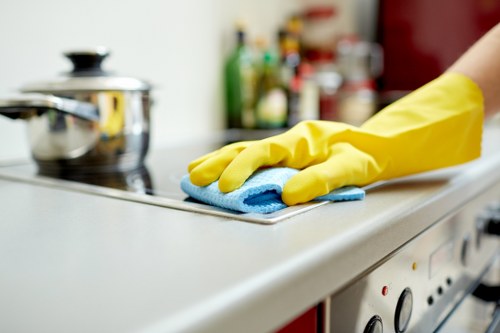Kitchen and bathroom cleaning for Kingston households