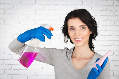 Thorough oven cleaning service improving kitchen hygiene in Kingston