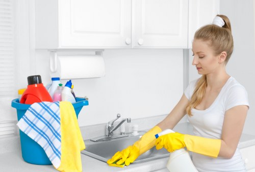 Fresh kitchen appliance maintained through regular oven cleaning
